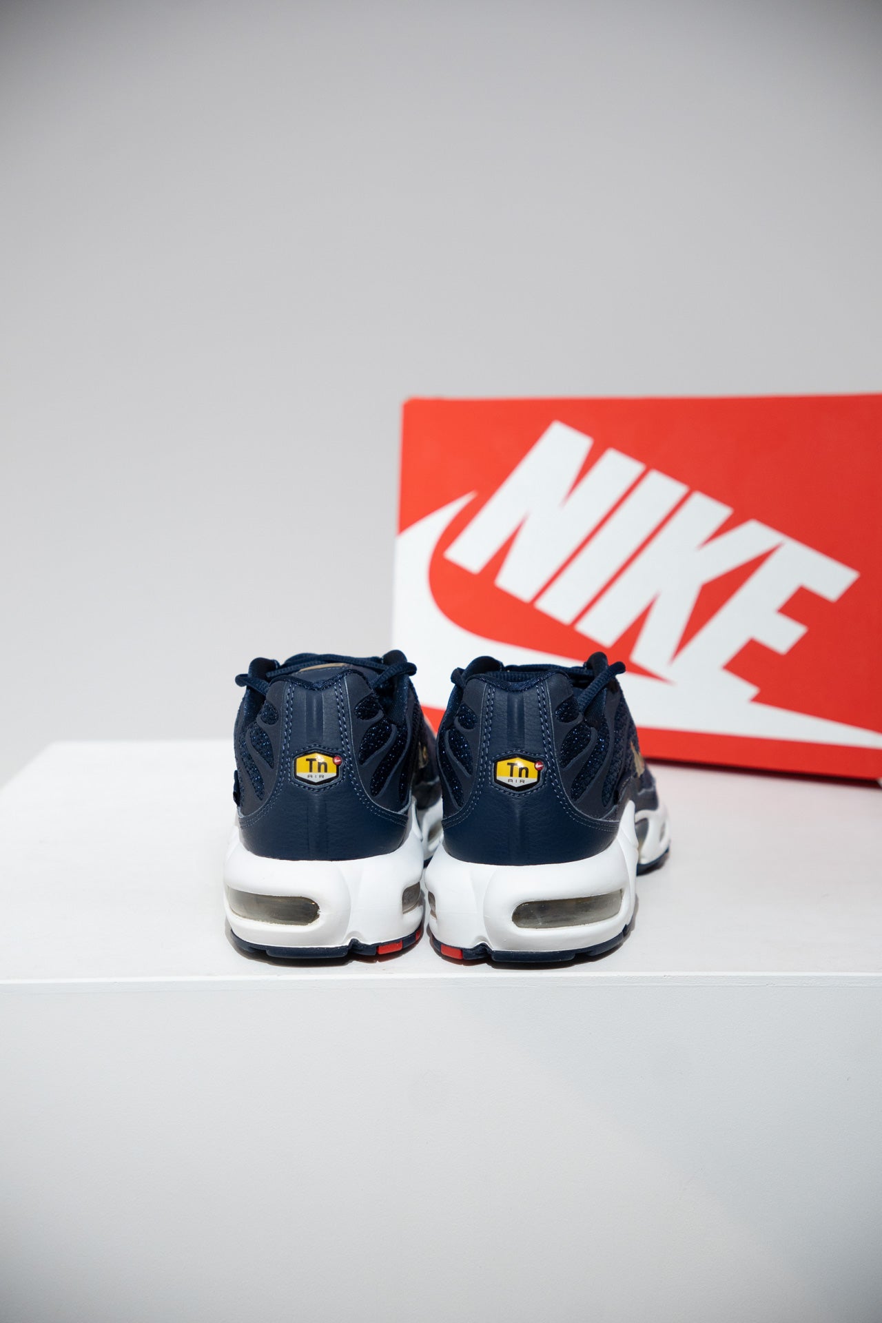 Air Max Plus (TN) FFF (Taille 42)