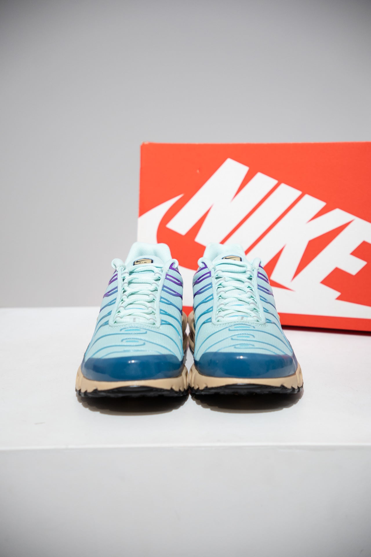Air Max Plus (TN) Jade Ice (Taille 41)