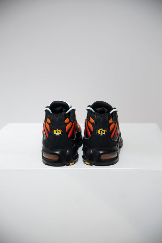 Air Max Plus (TN) Tiger (Taille 42,5)