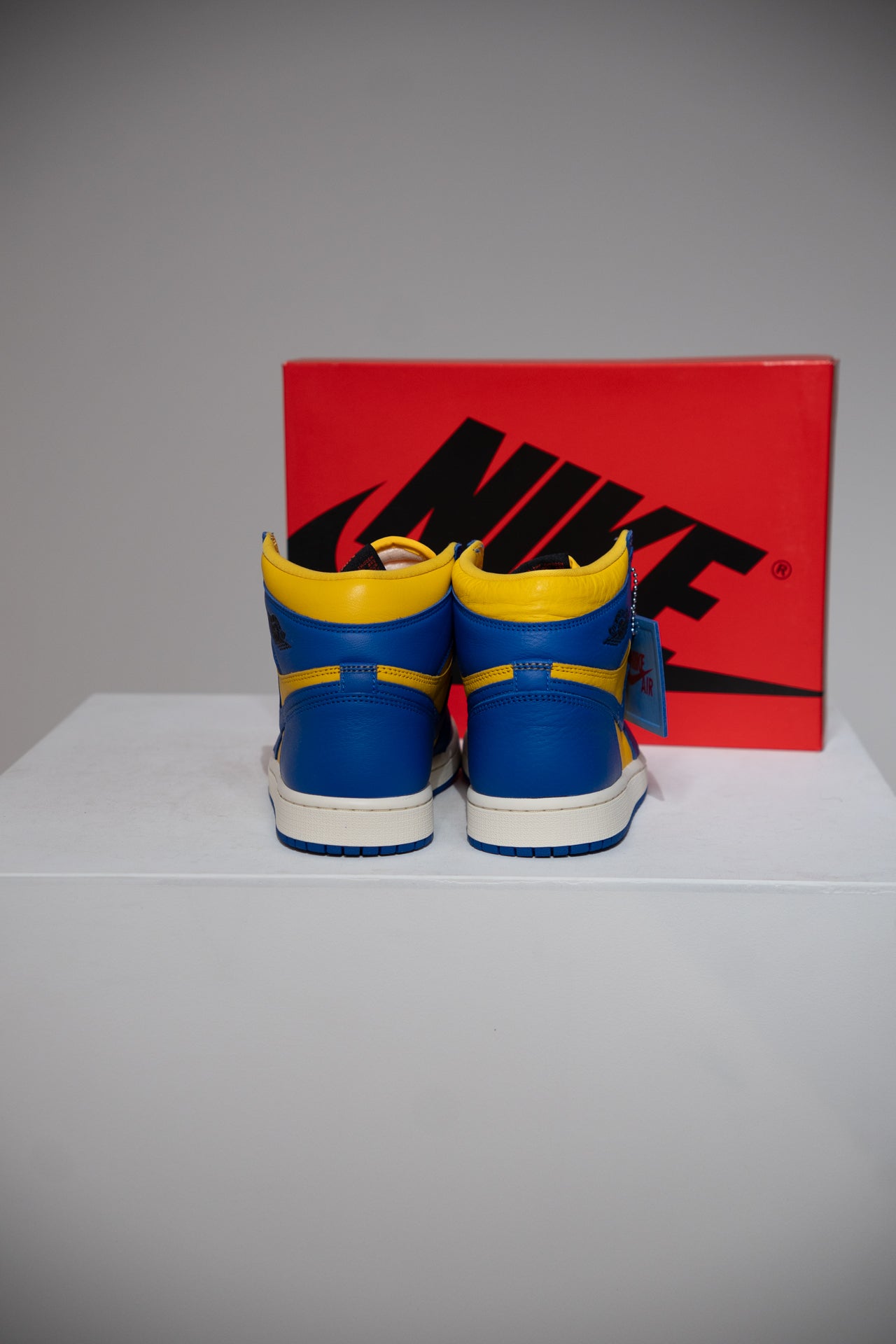 Jordan 1 High Reverse Laney (Taille 41)