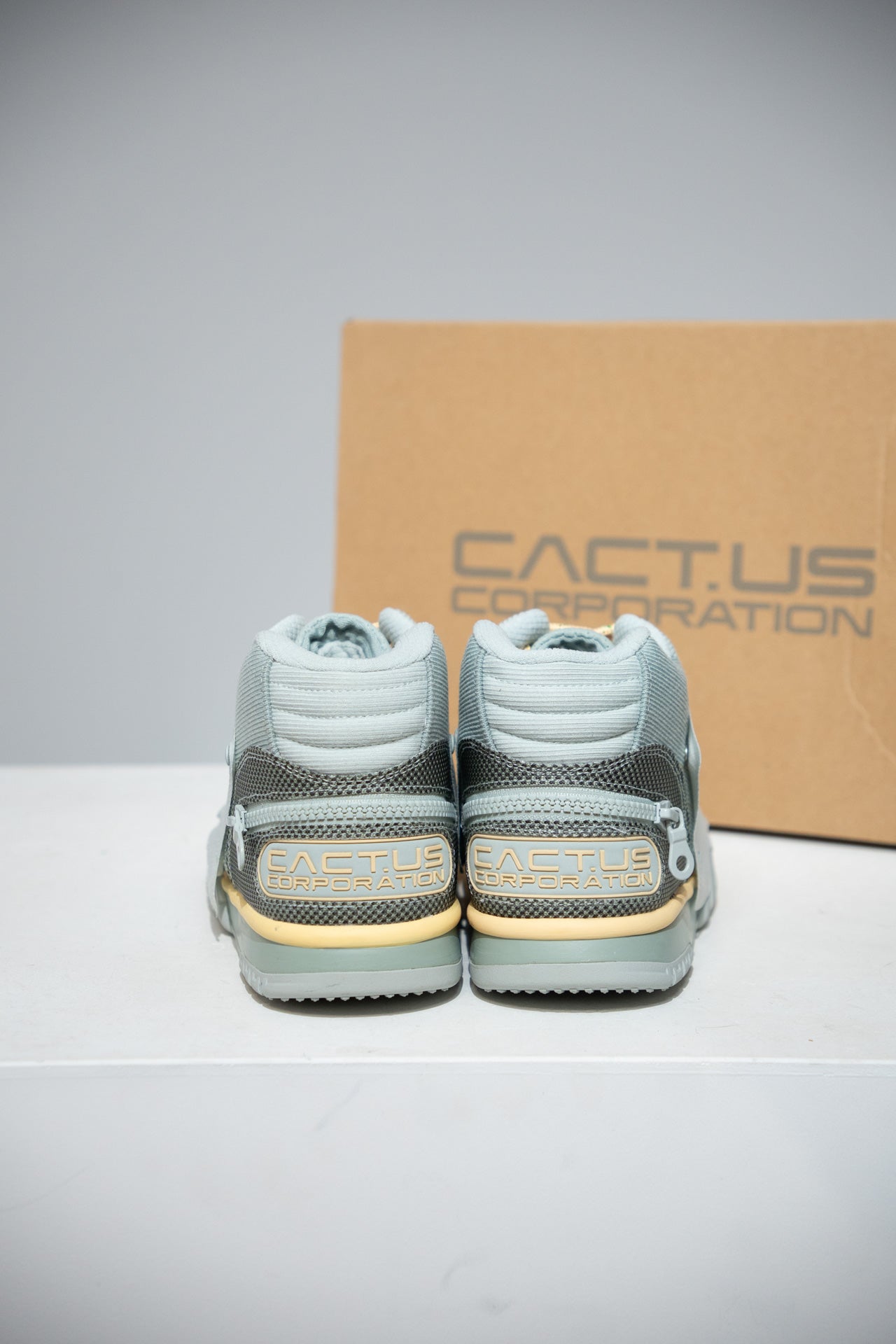 Air trainer Cactus Jack Grey (Taille 43)