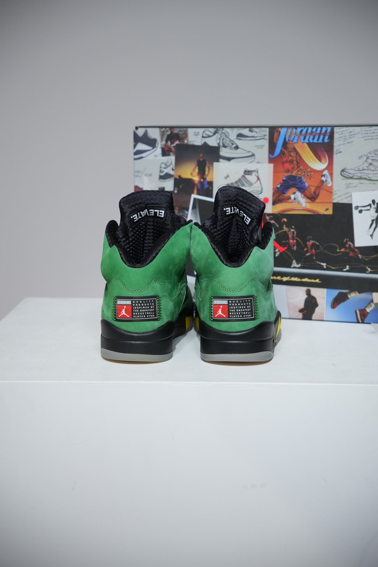 Jordan 5 Oregon (Taille 42,5)