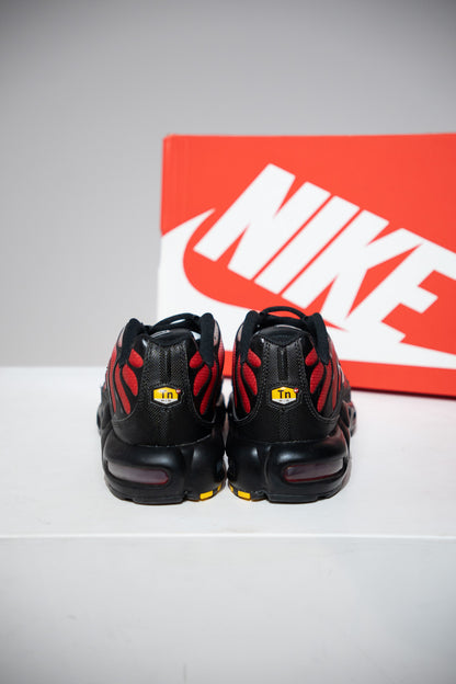 Air Max Plus (TN) Pure platinium University Red (Taille 44)