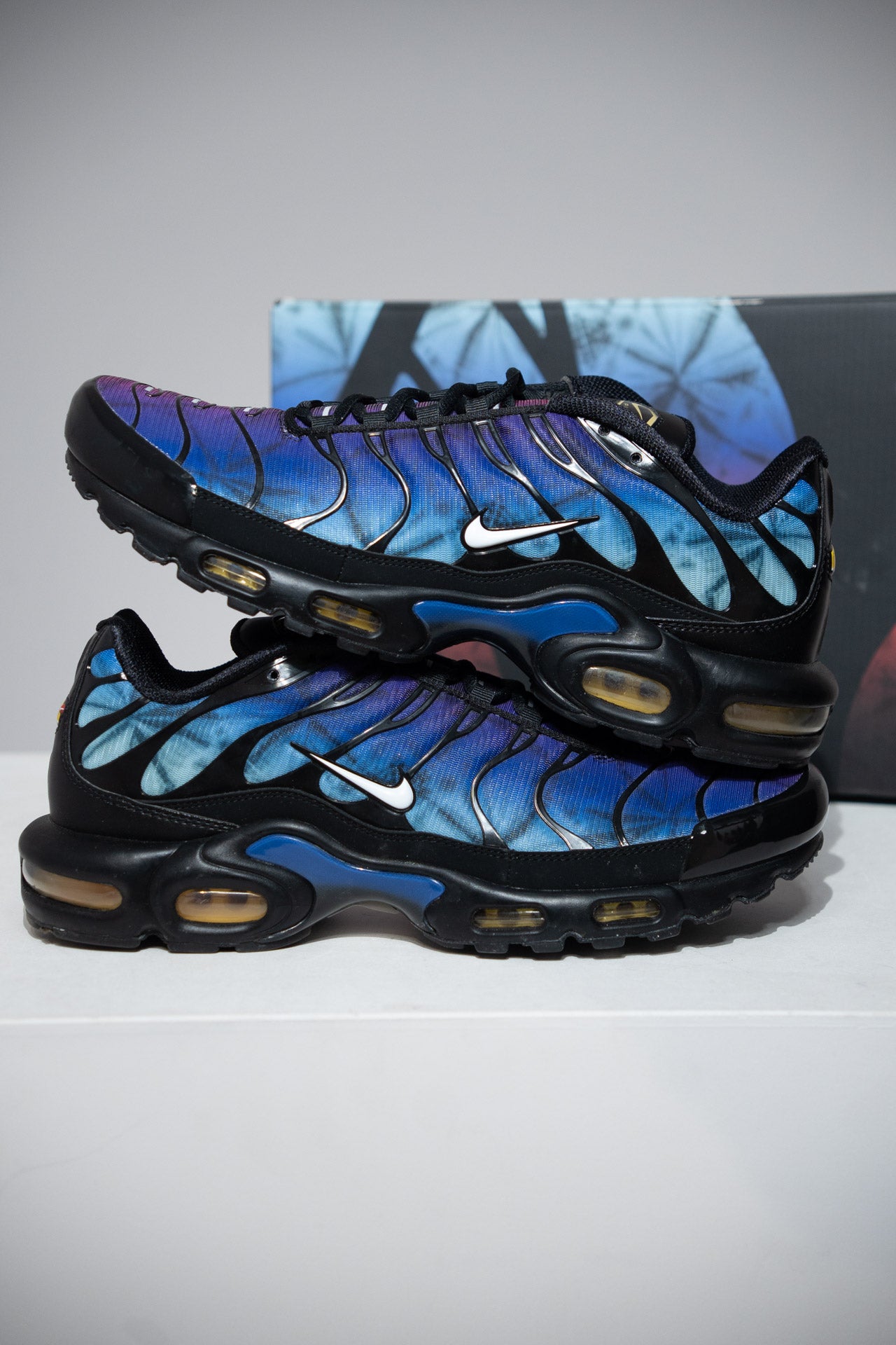 Air Max Plus (TN) Anniversary (Taille 45,5)