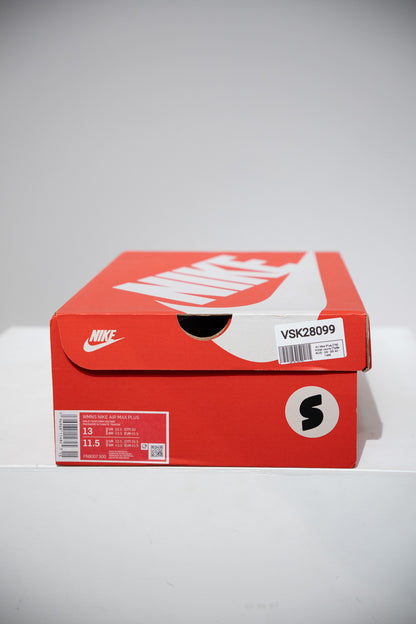 Air Max Plus (TN) Violet Jaune (Taille 45,5)