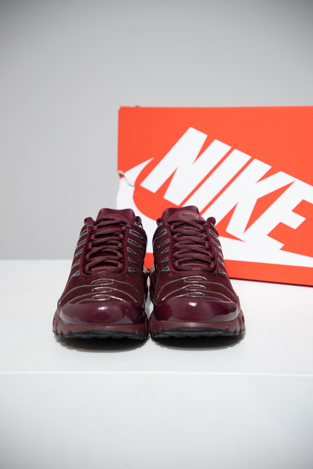 Air Max Plus (TN) Bordeaux (Taille 42,5)