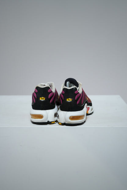Air Max Plus (TN) Rainbow (Taille 38,5)