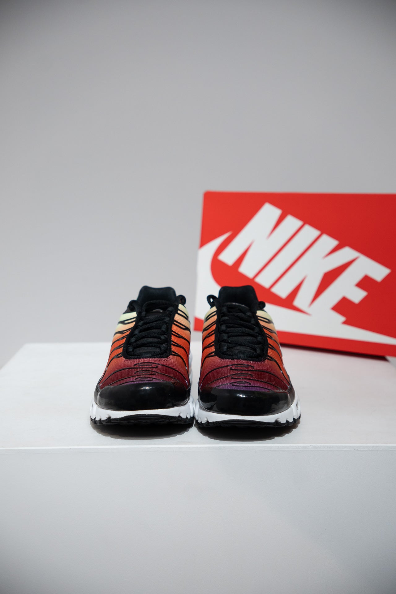 Air Max Plus (TN) Rainbow (Taille 42)