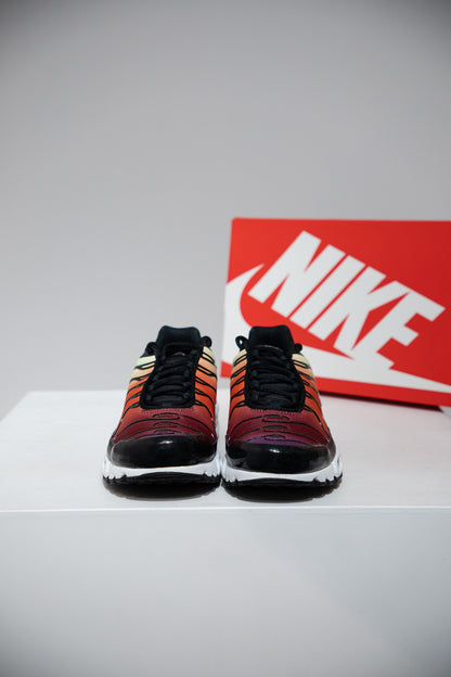 Air Max Plus (TN) Rainbow (Taille 42)