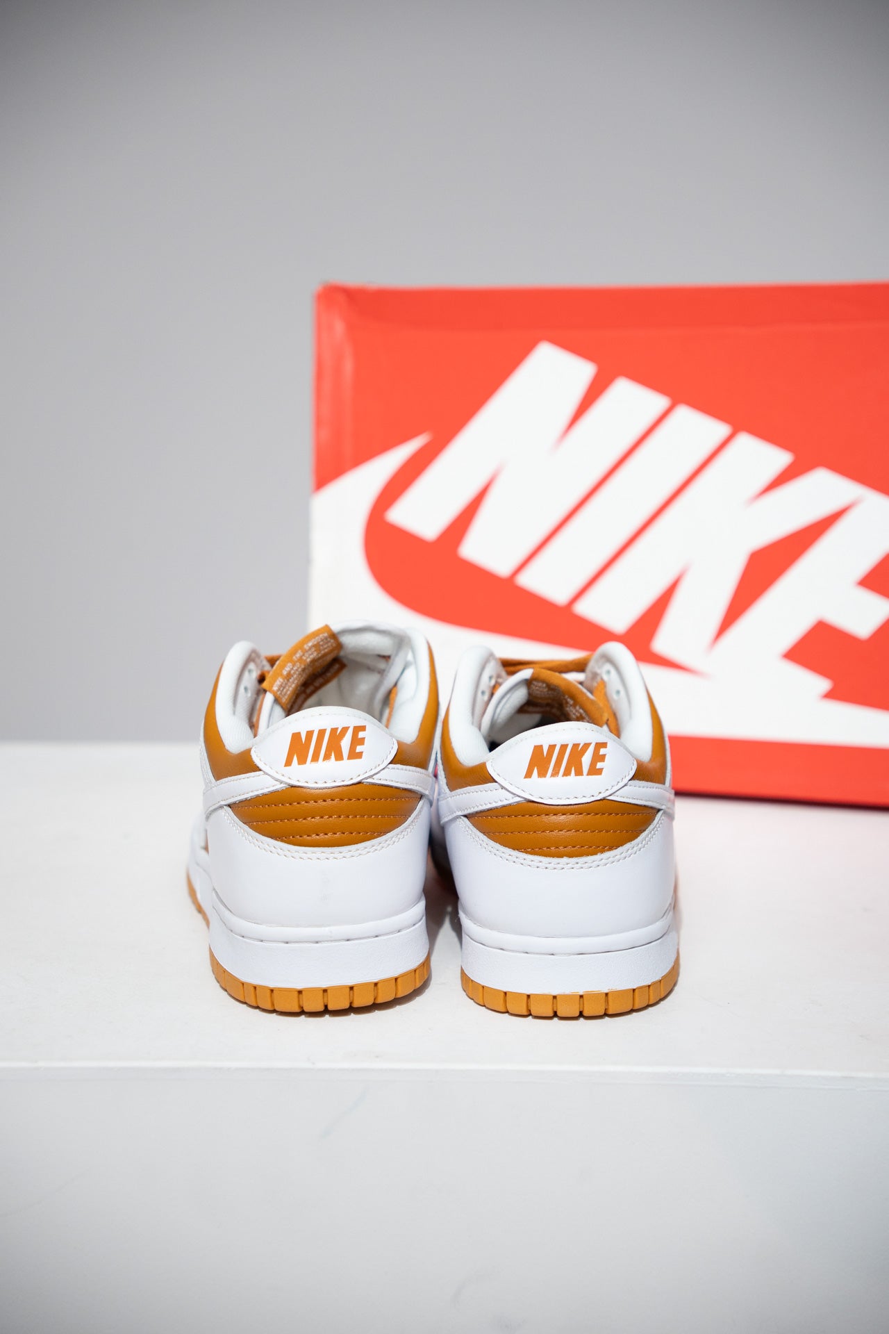 Dunk Low Dark Curry (Taille 41)