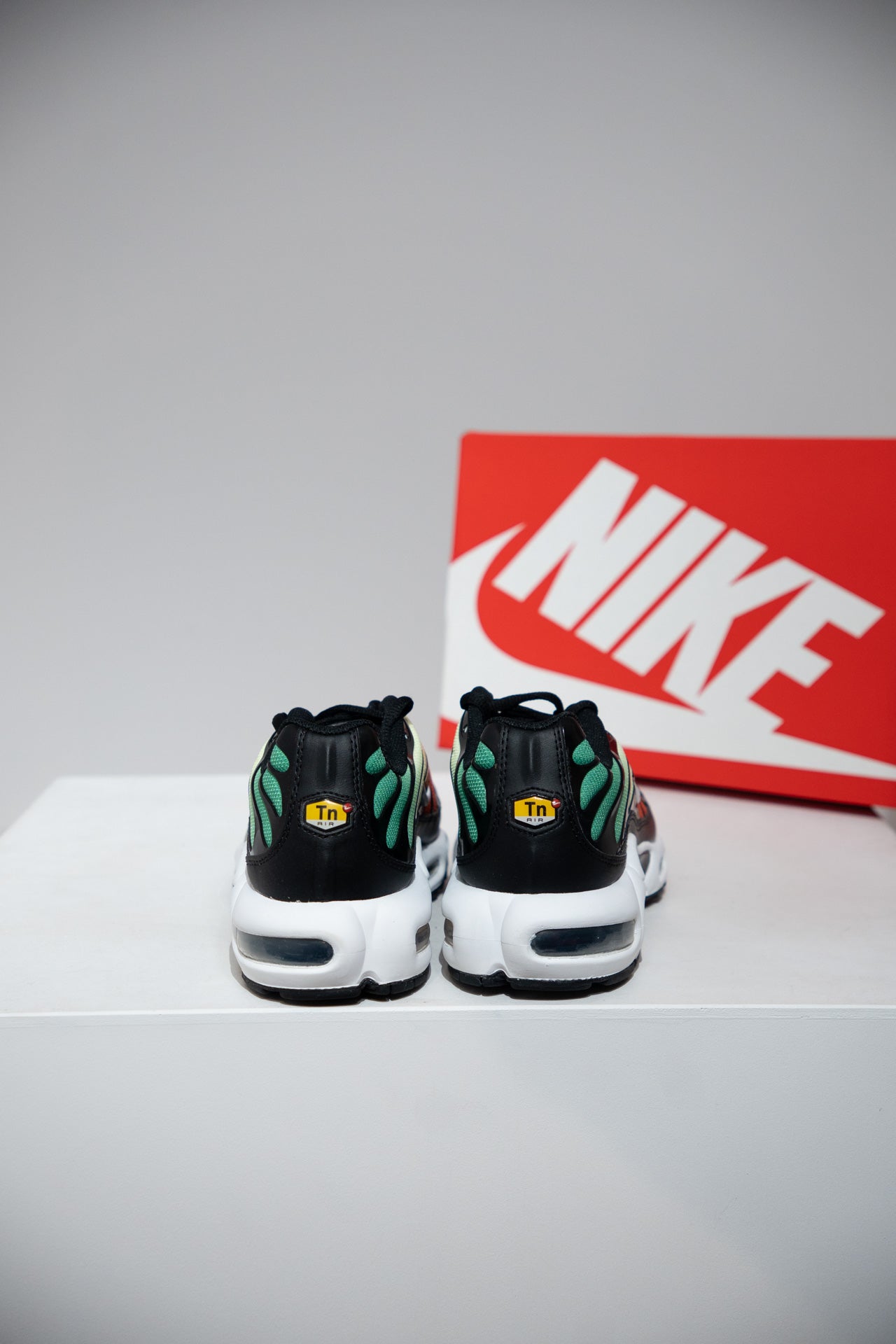 Air Max Plus (TN) Rainbow (Taille 42)