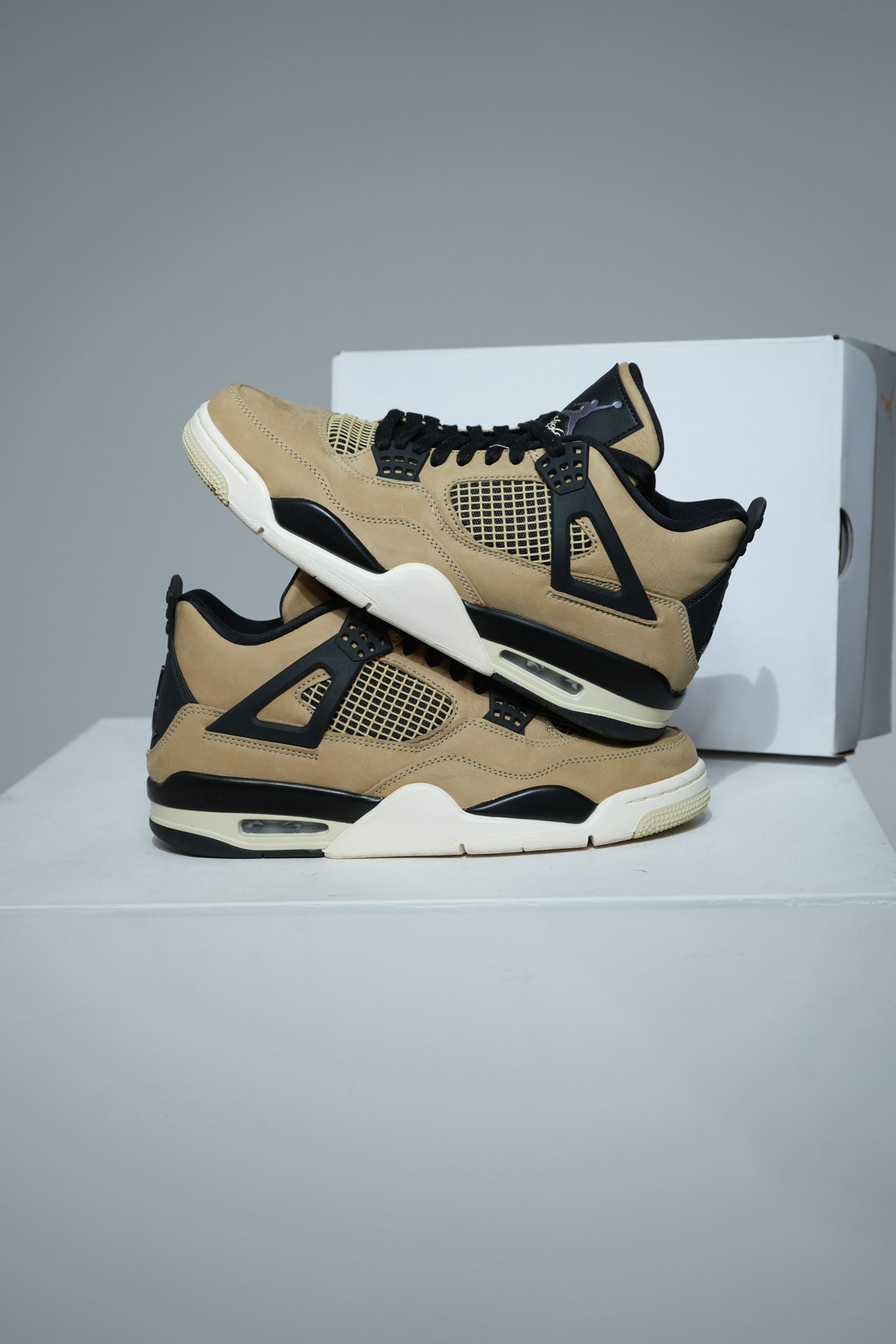 Jordan 4 Mushroom (Taille 42,5)
