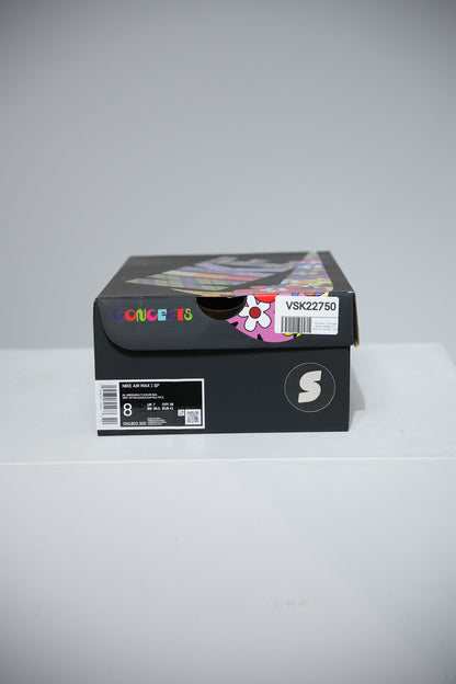 Air max 1 Concept Heavy (Taille 41)