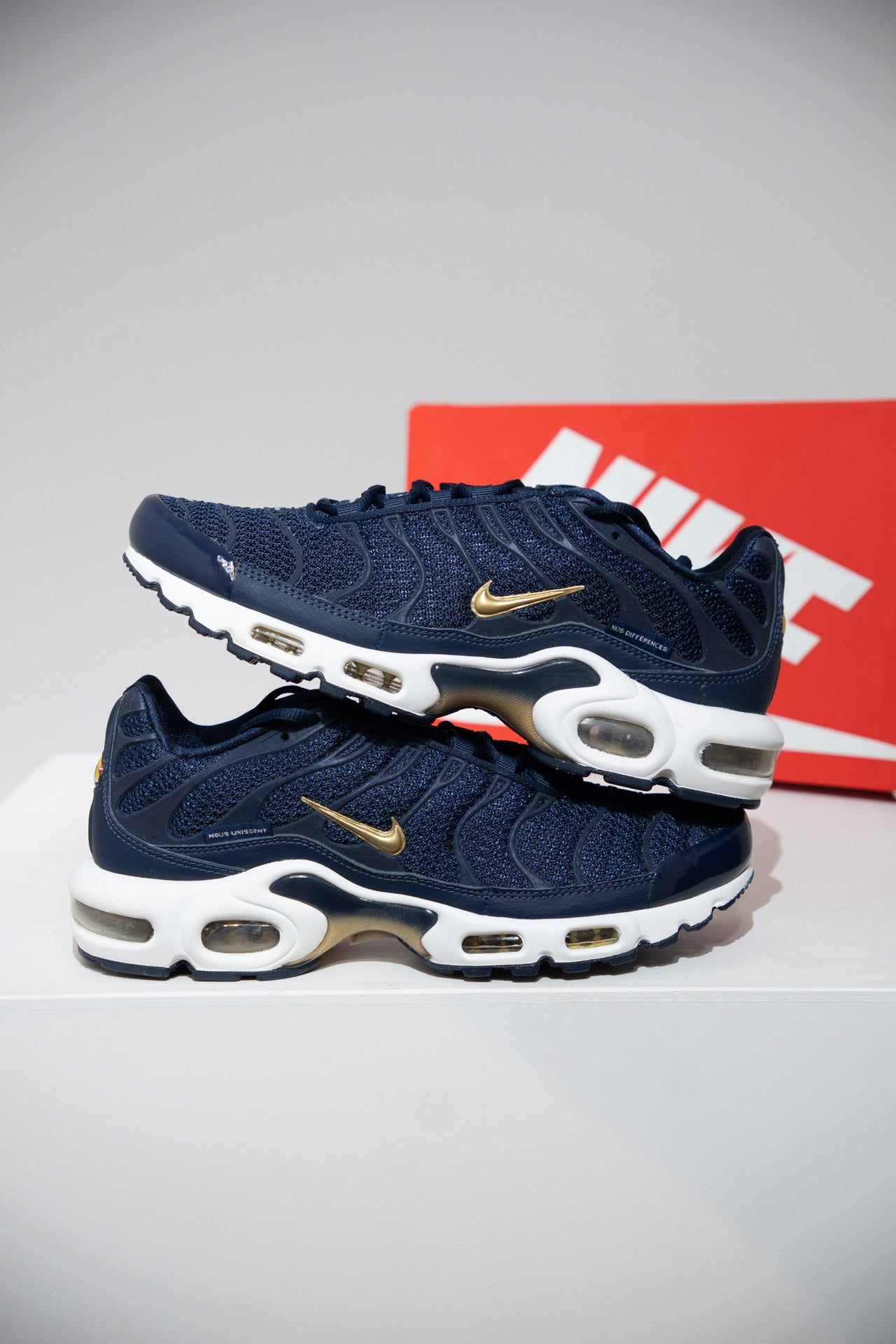 Air Max Plus (TN) FFF (Taille 42)