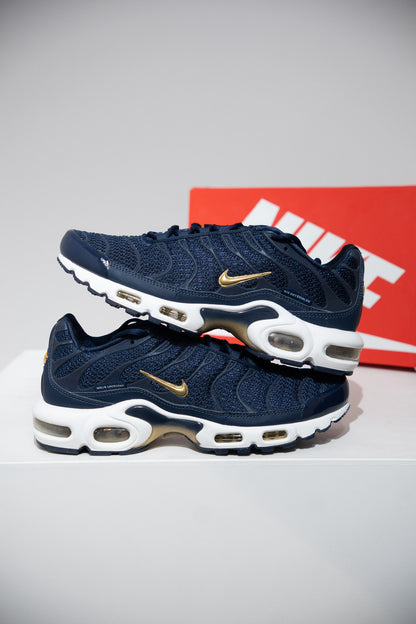 Air Max Plus (TN) FFF (Taille 42)
