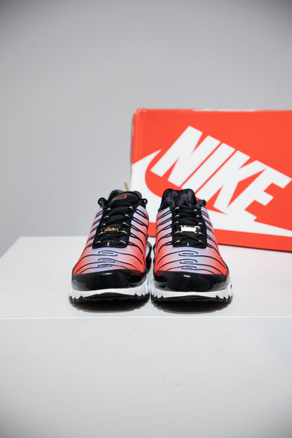 Air Max Plus (TN) Sisterhood (Taille 44,5)