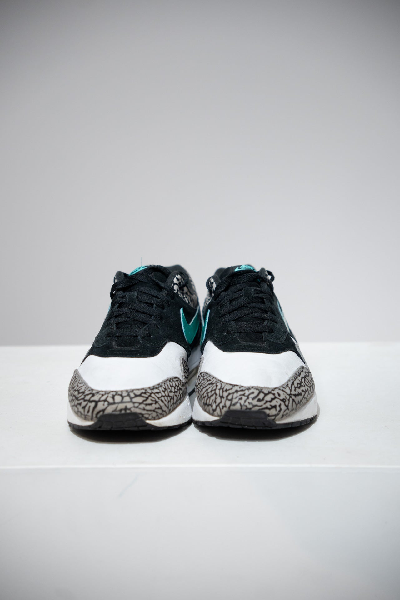Air Max 1 Atmos Elephant (Taille 45)