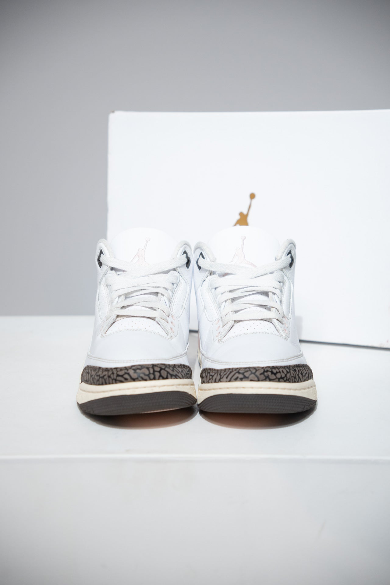 Jordan 3 Napolitan (Taille 41)