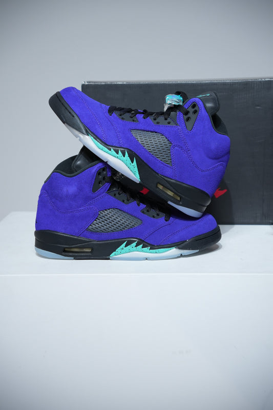 Jordan 5 Grape Alternate (Taille 42)