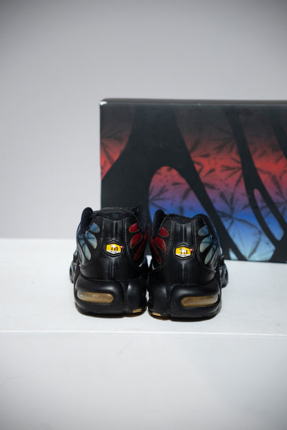 Air Max Plus (TN) Anniversary (Taille 42,5)
