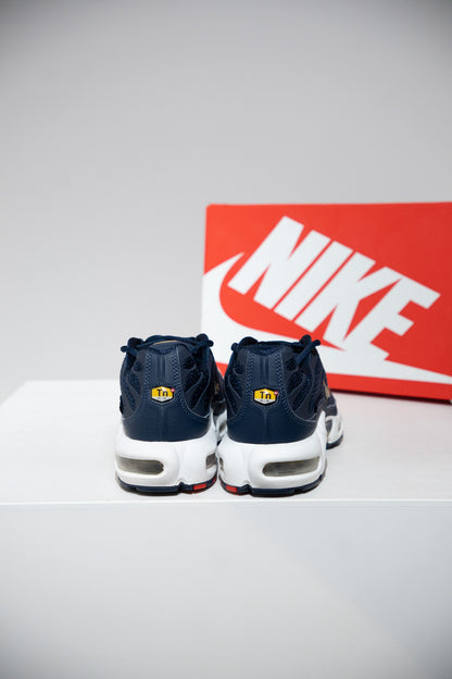 Air Max Plus (TN) FFF (Taille 42)