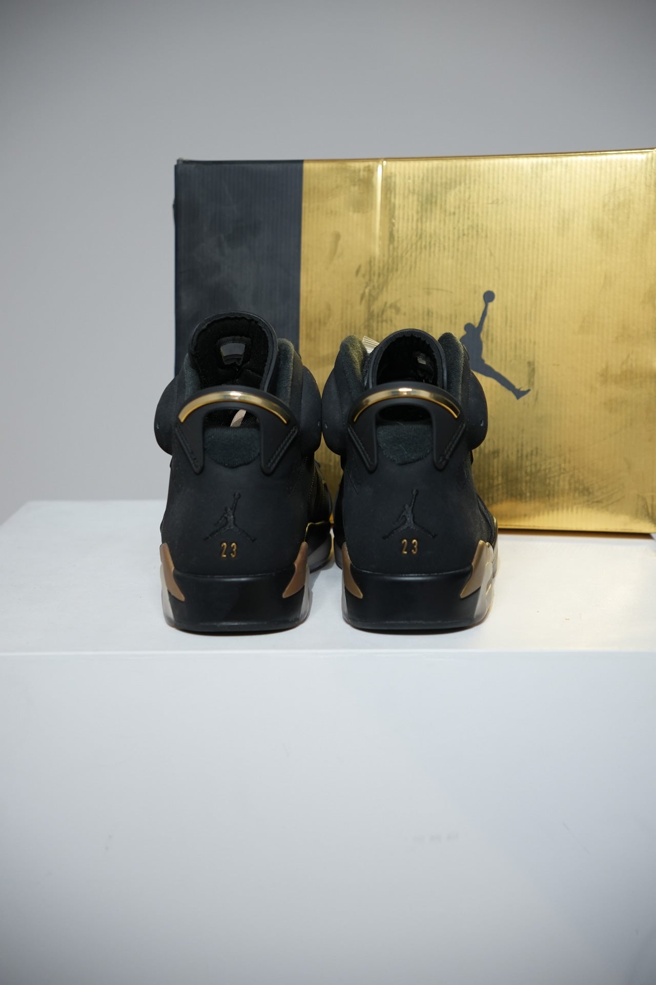 Jordan 6 DMP (Taille 45)