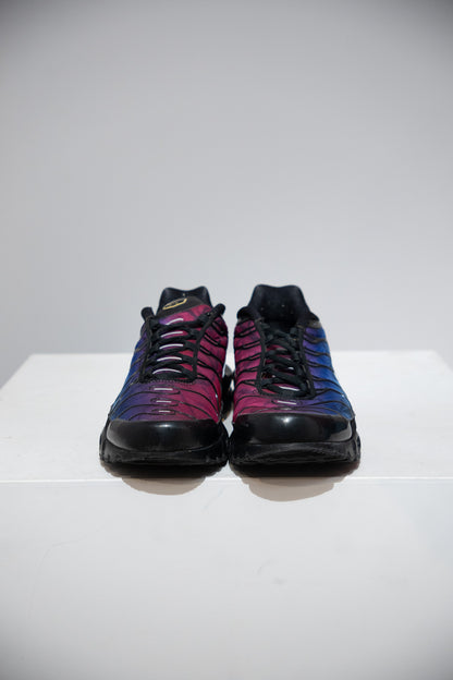 Air Max Plus (TN) Anniversary (Taille 44)