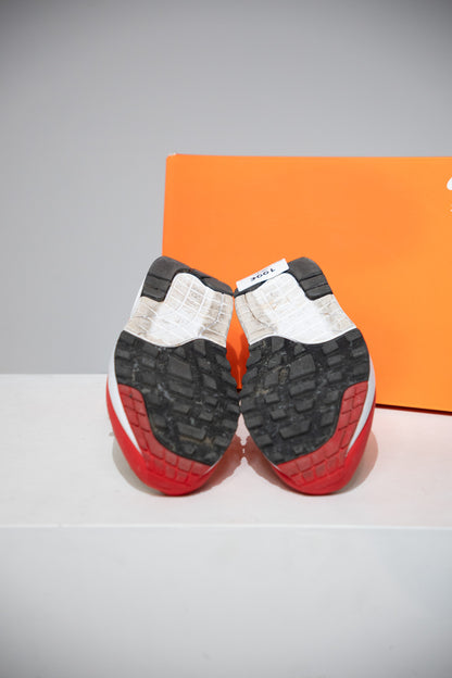 Air Max 1 Anniversary Red (Taille 44)
