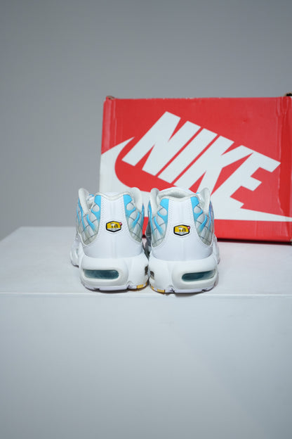 Air Max Plus (TN) Marseille (Taille 43)