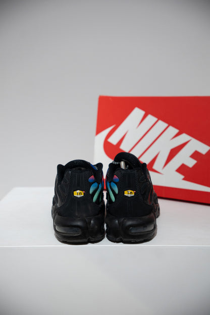 Air max Plus (TN) Berlin (Taille 45)
