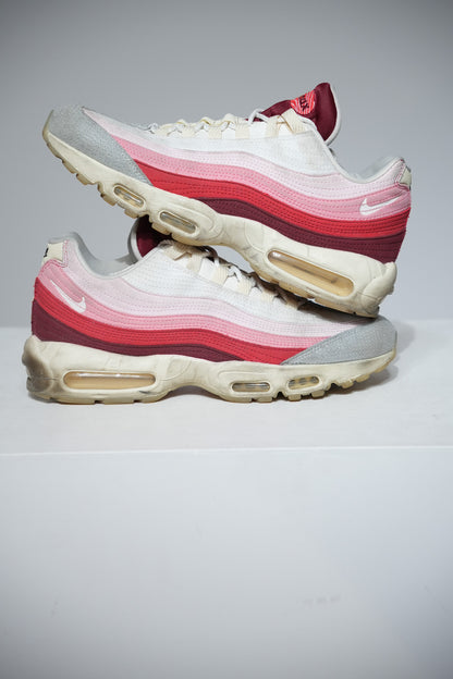 Air Max 95 Anatomy Of Air (Taille 45)