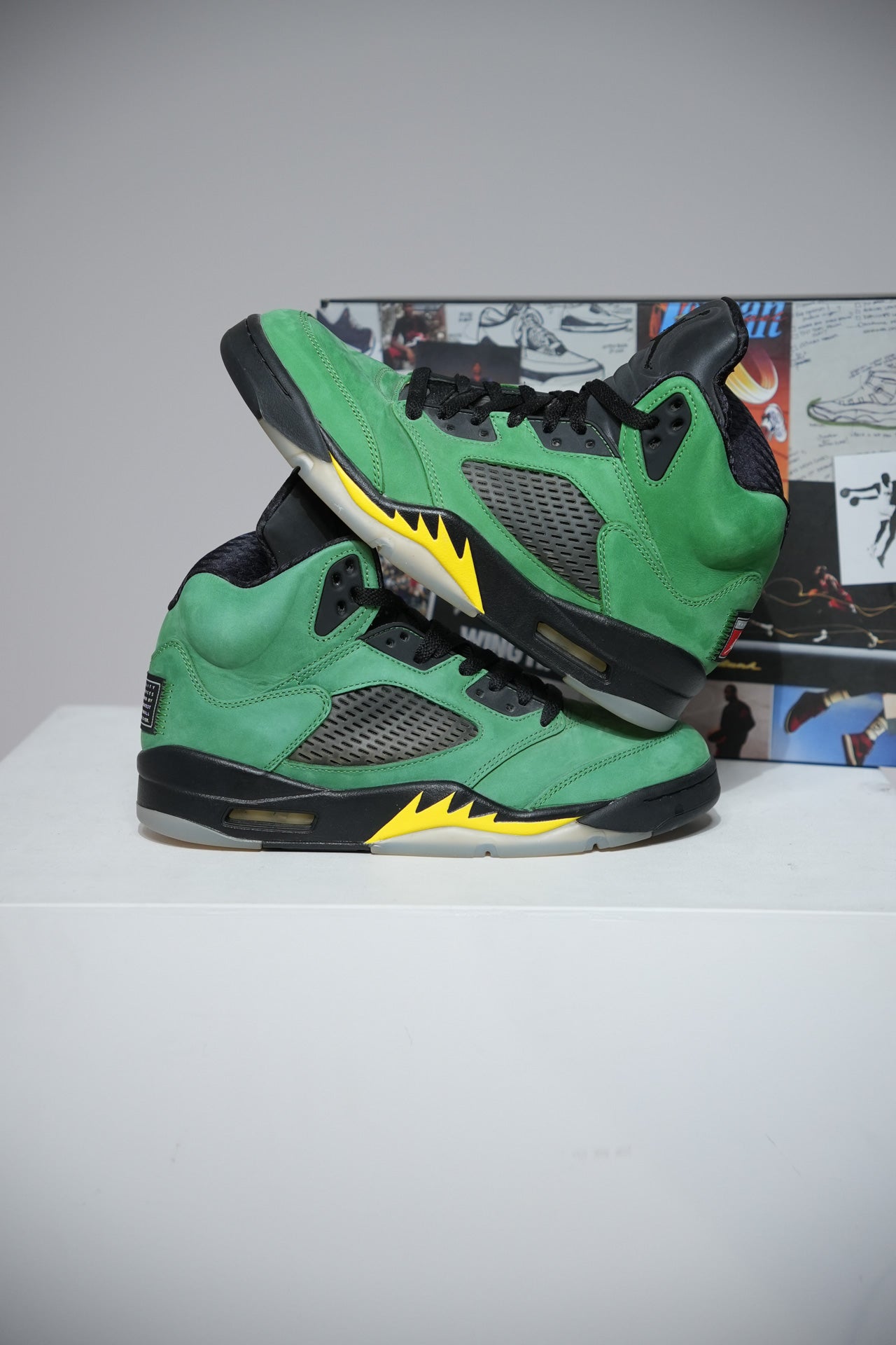 Jordan 5 Oregon (Taille 42,5)