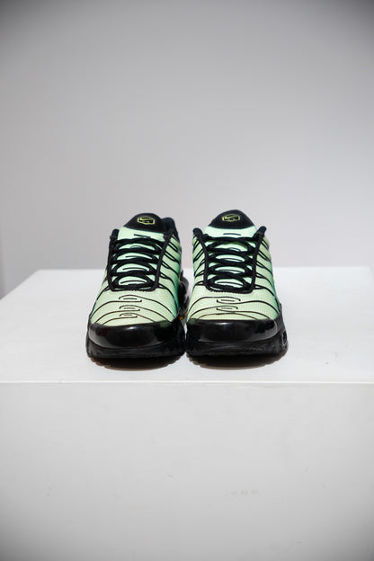 Air Max Plus (TN) Vapor Malachite Green (Taille 41)