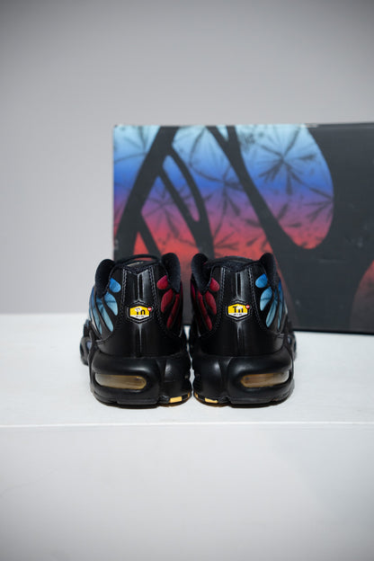 Air Max Plus (TN) Anniversary (Taille 45,5)