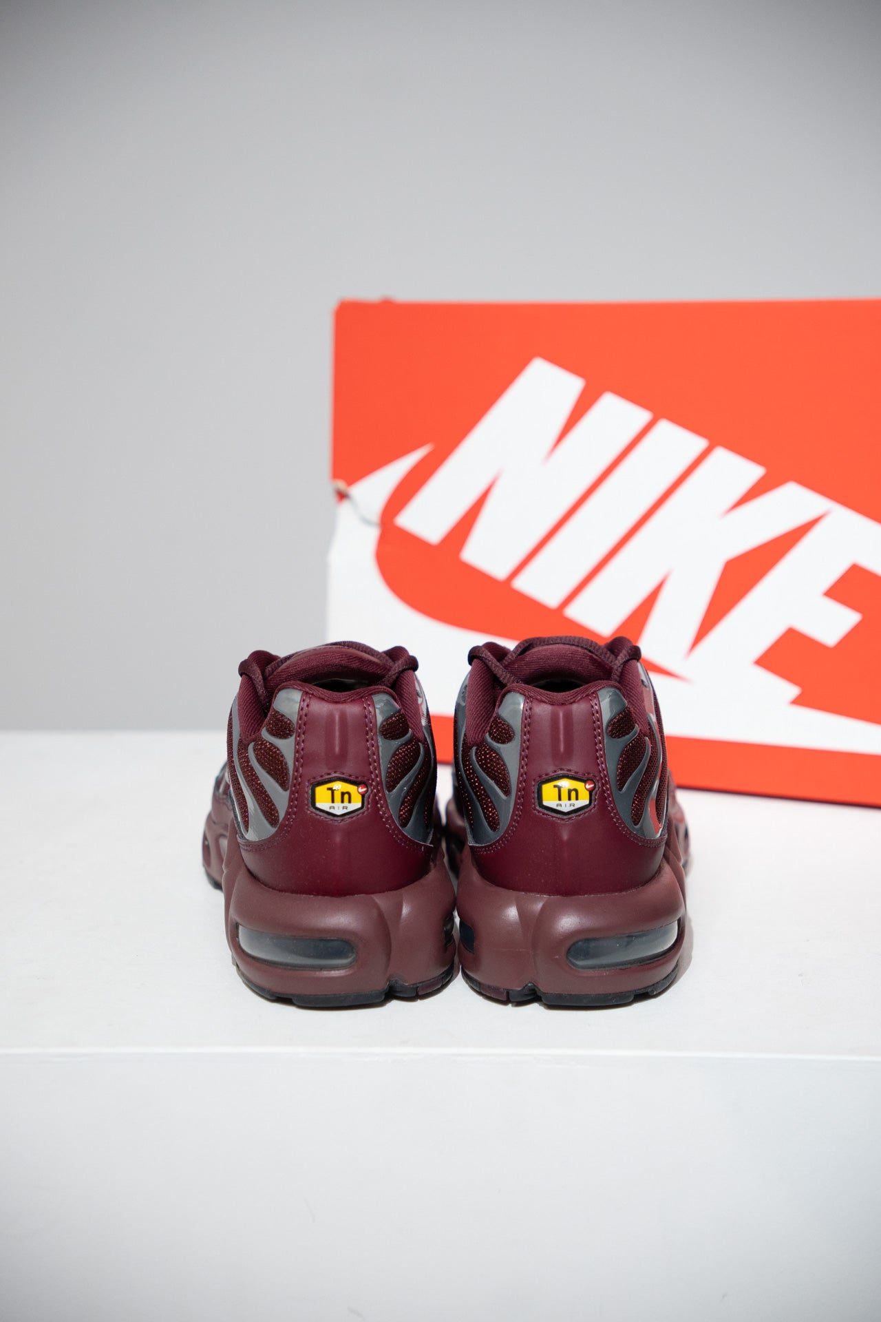 Air Max Plus (TN) Bordeaux (Taille 42,5)
