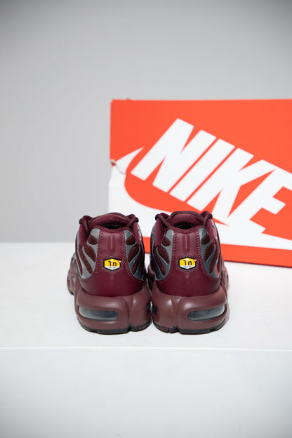 Air Max Plus (TN) Bordeaux (Taille 42,5)