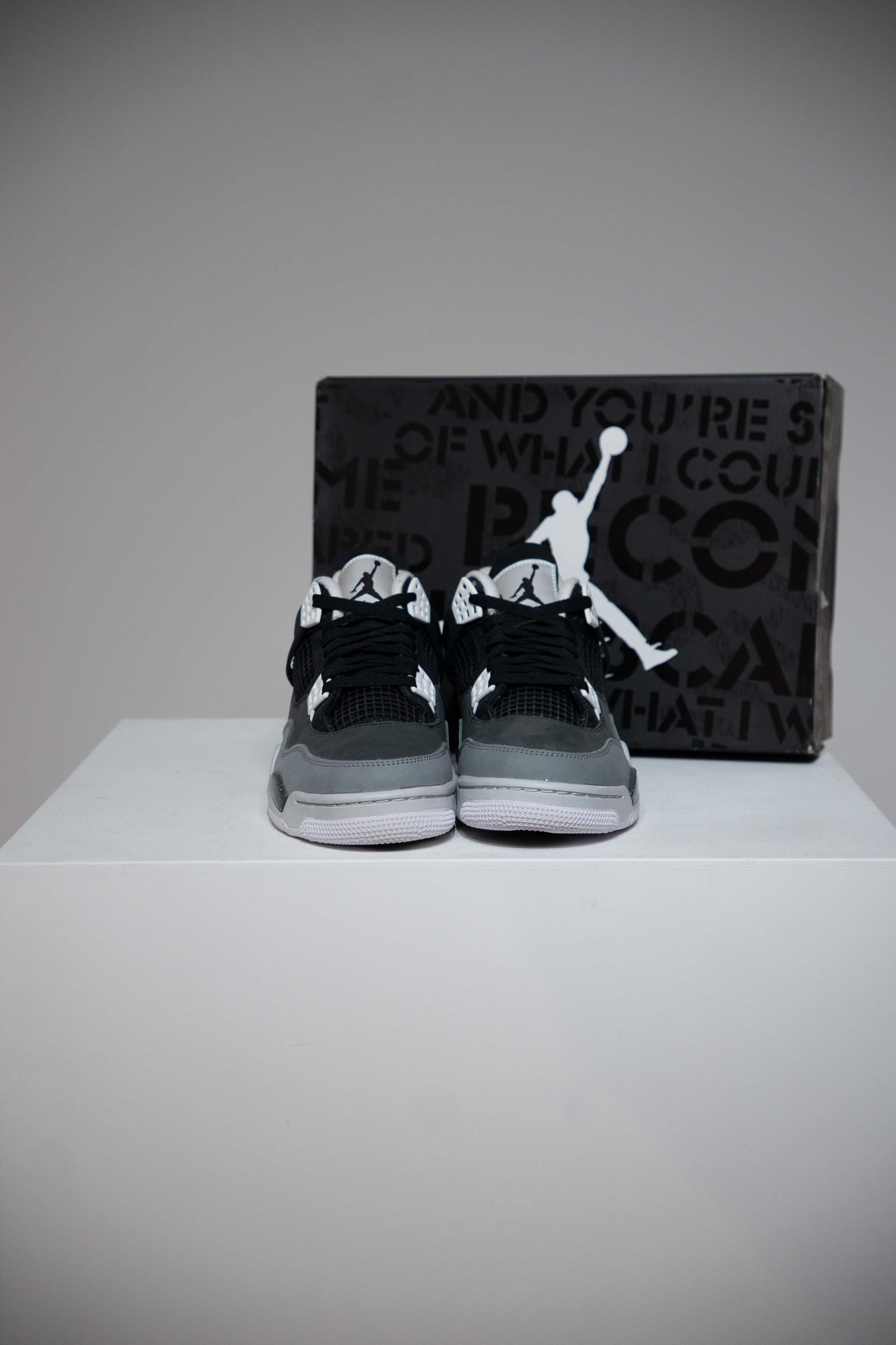 Jordan 4 Fear (Taille 41)