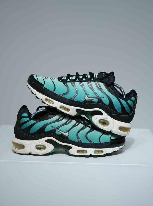 Air Max Plus (TN) Emerald (Taille 41)
