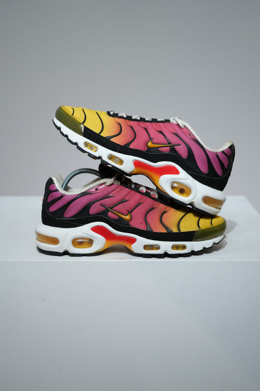 Air Max Plus (TN) Rainbow (Taille 38,5)