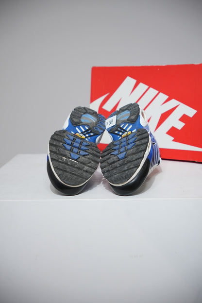 Air Max Plus (TN) Light Photography Royal (Taille 44)