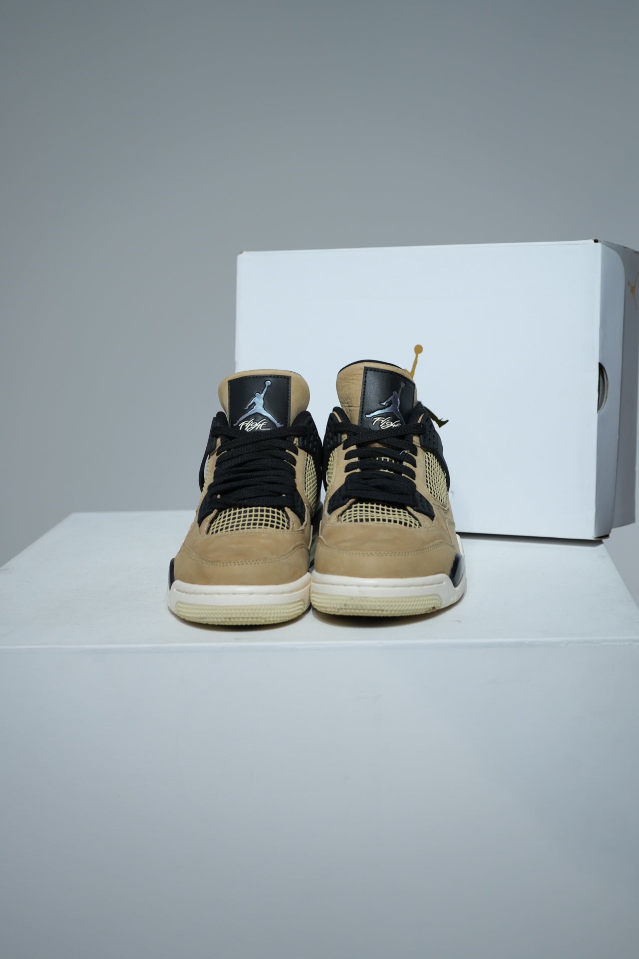Jordan 4 Mushroom (Taille 42,5)