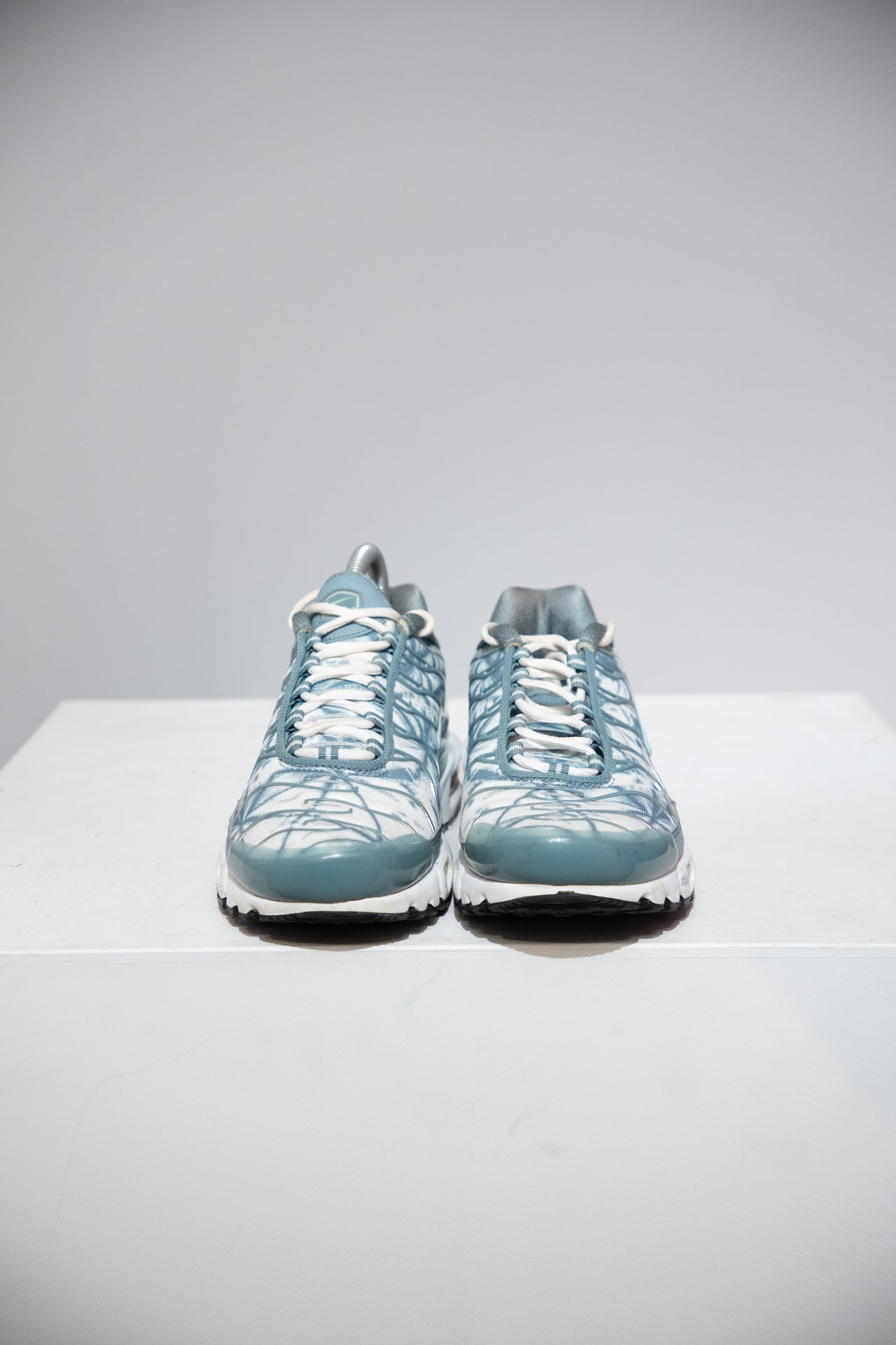 Air Max Plus (TN) Palm (Taille 40)