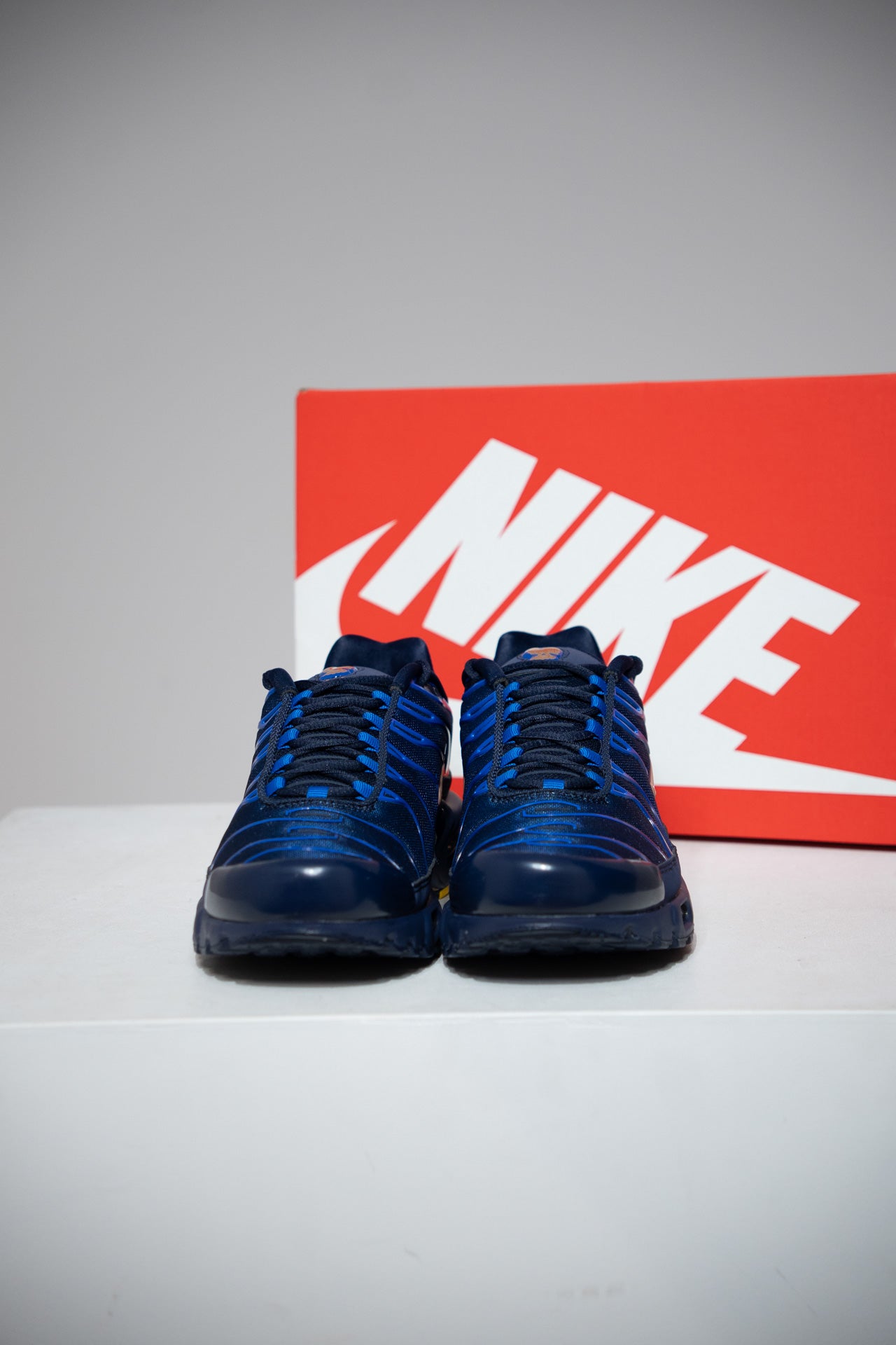 Air Max Plus (TN) FFF 2.0 (Taille 43)
