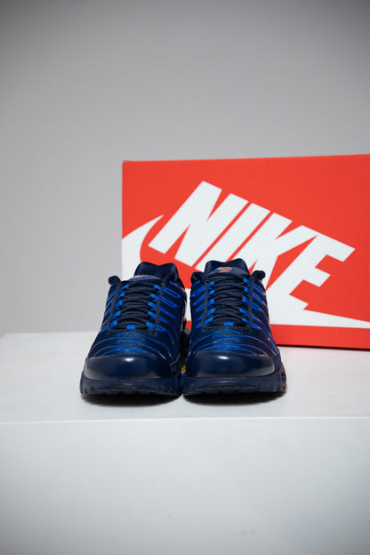 Air Max Plus (TN) FFF 2.0 (Taille 43)