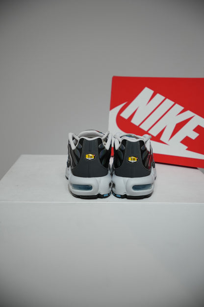 Air Max Plus (TN) Iridescent (Taille 43)