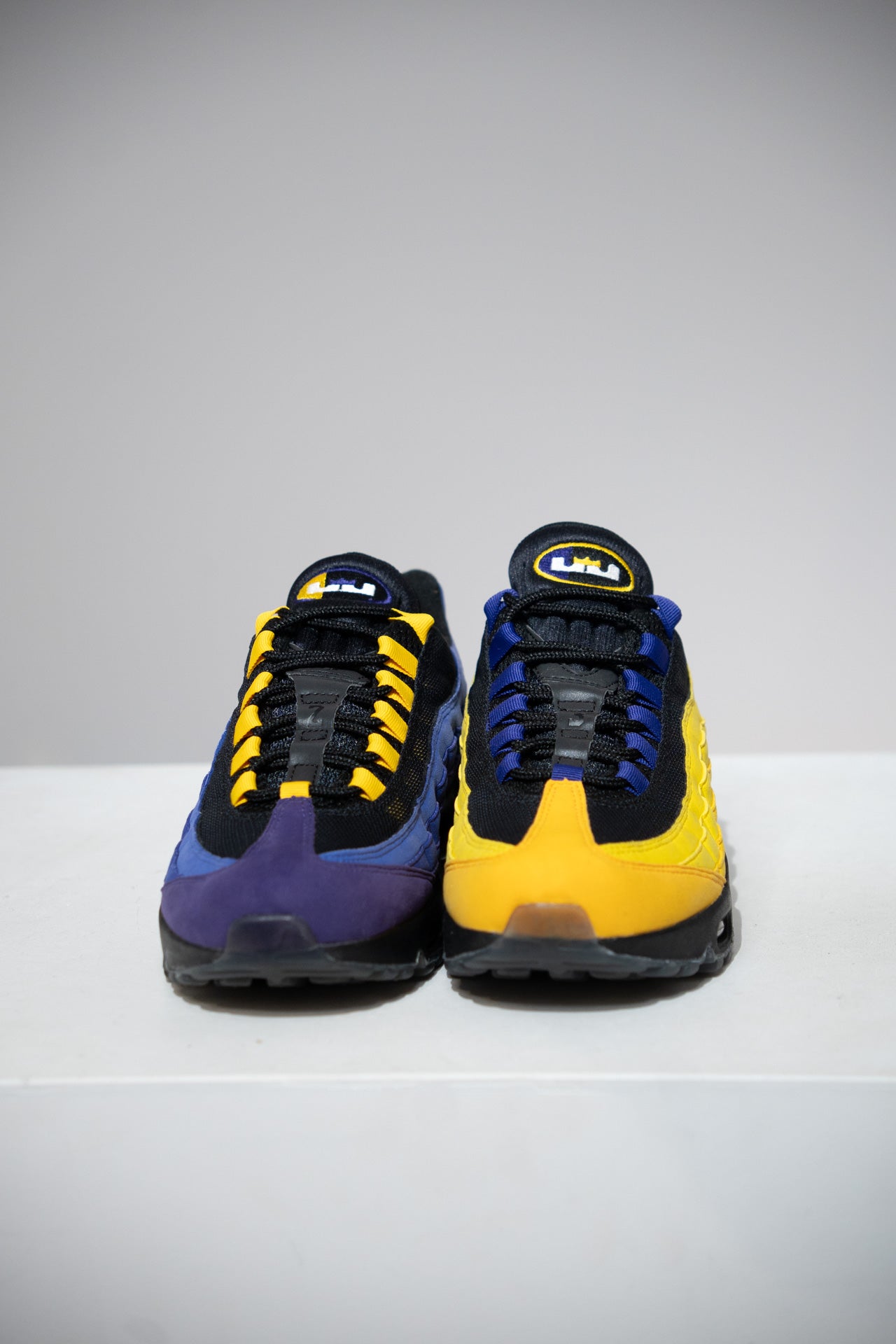 Air Max 95 Lebron (Taille 41)
