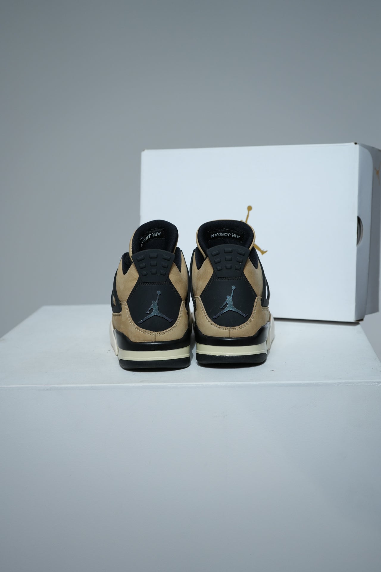 Jordan 4 Mushroom (Taille 42,5)