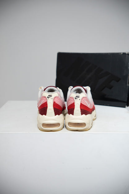 Air Max 95 Anatomy Of Air (Taille 38)