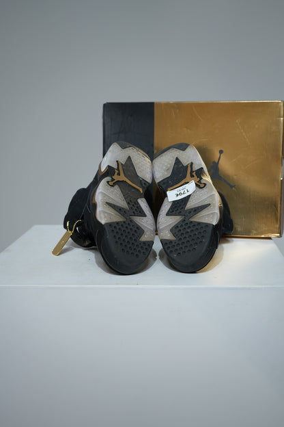 Jordan 6 DMP (Taille 42,5)
