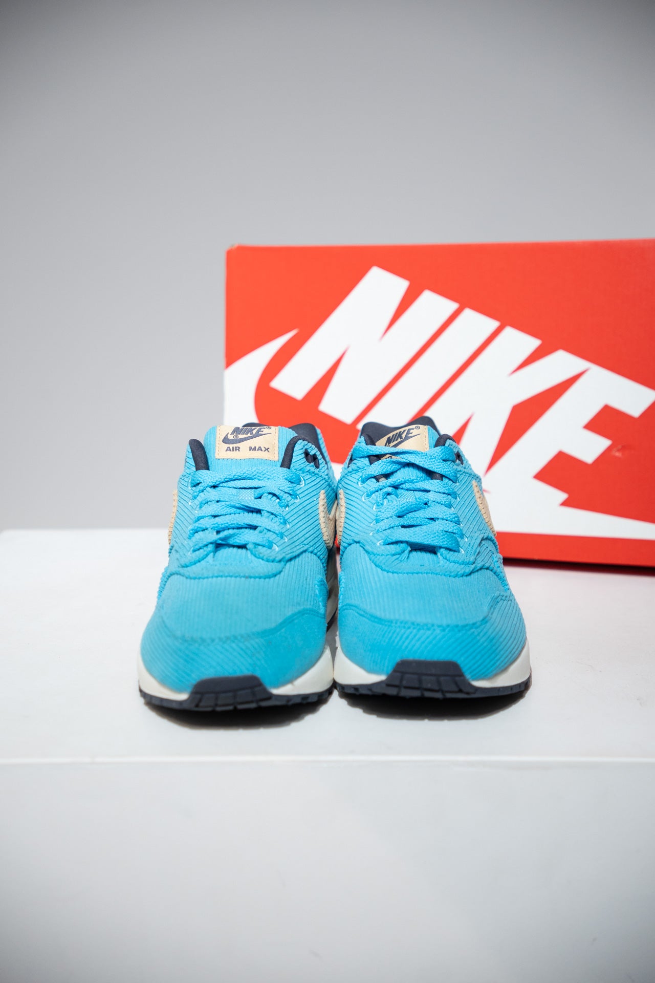 Air Max 1 Cordura Baltic Blue (Taille 41)